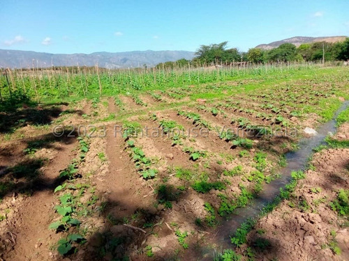 Carlos Colmenarez Vende Fabulosa Finca De 13ha. Con: 2 Lagunas, Agua Por Buco A Gravedad, Posee Electricidad 110 Y 220, Ubicada A Pocos Minutos Del Centro Del Tocuyo Con Acceso Directo De La Autopista