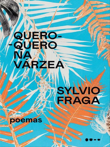 Quero-quero Na Várzea, De Fraga, Sylvio. Editora Todavia Editora, Capa Mole Em Português