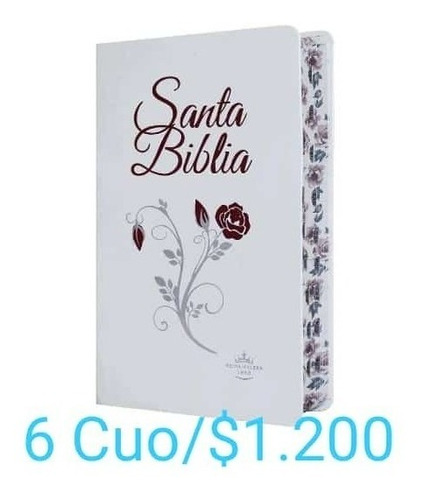 Biblia Floreada Letra  Grande Dama