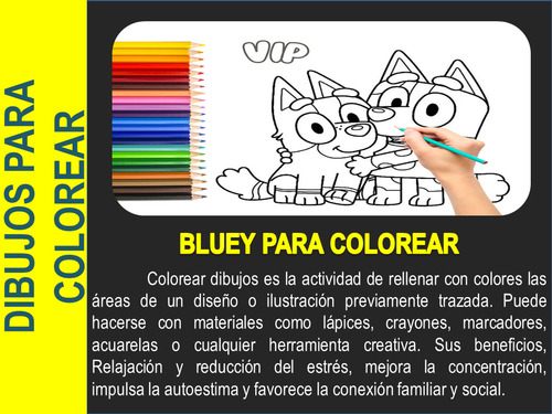 Bluey Libro Imprimir Colorear Pintar