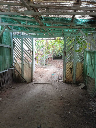 Venta Casa Con Amplio Terreno, Quilpué (68197)