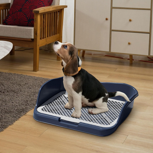 Almohadillas De Entrenamiento Para Mascotas, Soporte Para