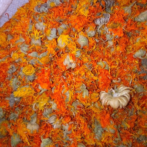 1 Kg De Mercadela, Calendula Selecta Premium De Doble Flor