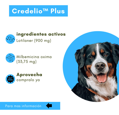 Credelio Plus Para Perros 22 A 45kg - 3 Tabletas Masticable