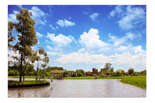 Imagen 6 de 11 de Lote 2937 M2 Fincas Sector Golf 1