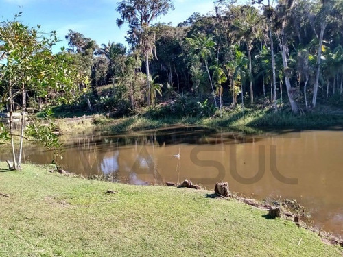 Imagem 10 de 25 de Chácara Rica Em Água Com Nascente Própria E Lindo Lago Piscoso Localizada Em Juquitiba/sp. - 325 - 69538550