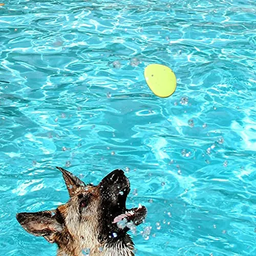 Juguetes Para Perros Skip Nn Fetch | Stonne Skipping Se Encu