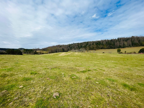 Se Vende Proyecto Aprobado Por Sag Panguipulli Los Lagos