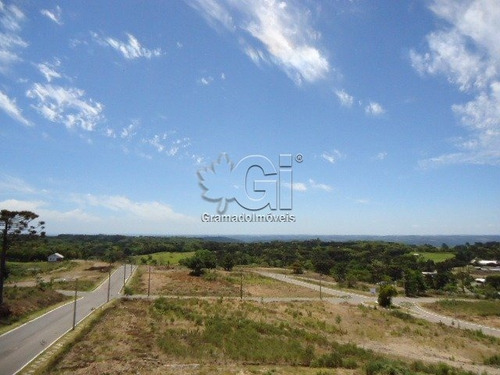 Imagem 4 de 15 de Terreno - Mato Queimado - Ref: 2933 - V-gi2939
