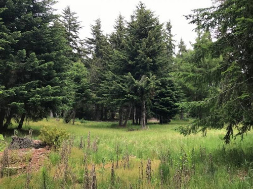 Terrenos O Lotes Venta Villa La Angostura