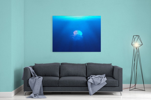 Cuadro Decorativo Mar Medusa Animales En Canvas 90x60