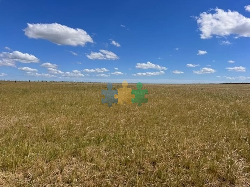 Campo En Durazno, 687 Hectáreas En Venta - Ref : Eqp6831