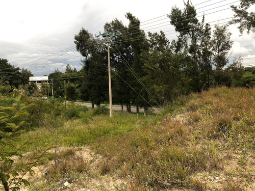Renta A Orilla De Carretera Con Excelente Frente Y Superficie