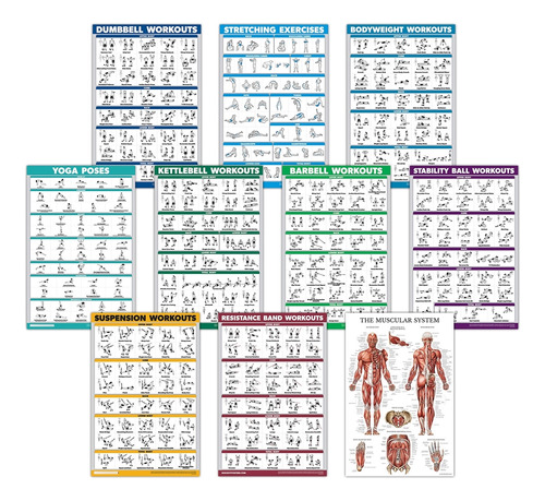 Quickfit - Juego De 10 Carteles De Ejercicios: Con Mancuern.