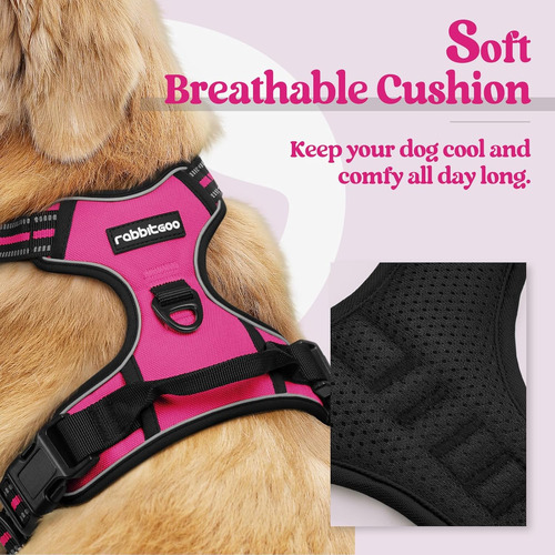 Arnés Para Perro Rabbitgoo, No Tirar, Ajustable, Xl