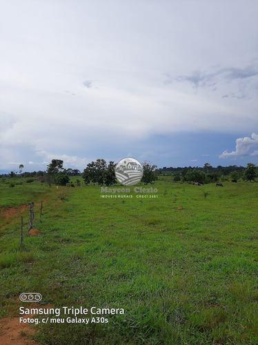 Imagem 3 de 11 de Venda Sítio Vale Do Anari Em Rondônia - Sig309