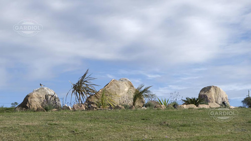 Chacra En Zona De Las Cañas Para Alquiler De Verano O Venta