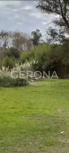 Venta Terreno De 11000mts En Carrasco Este .