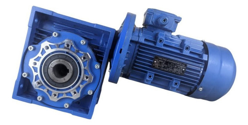 Motoredutor Motor 2cv Com Redutor 1:80 220/380v Trif 22rpm