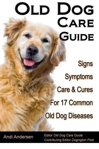 Old Dog Care Guide Signs, Symptoms, Care  Y  Cures For 17 Co