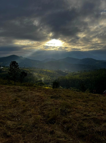 Imagem 5 de 8 de Terrenos De 600 M² A Venda Em Mairiporã