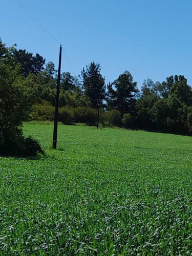Se Vende Hermoso Campo En La Unión