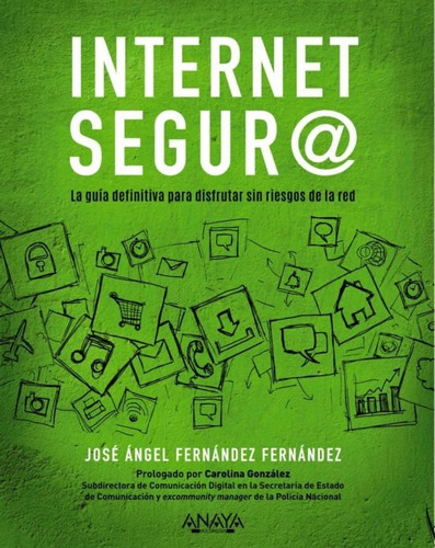 Internet Seguro @, José Angel Fernández Fernández, Anaya