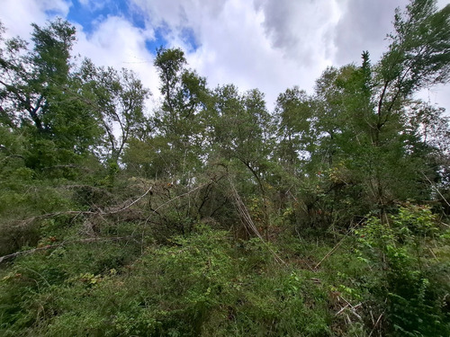 Terreno Chileno En Niagara, Padre Las Casas/temuco