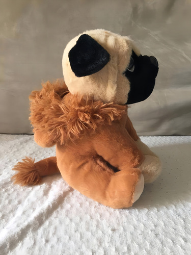 Perro Pug con piel de león - Pug Leãozinho Buba