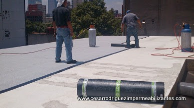 Imagen 2 de 2 de Cero Filtraciones De Techos El Conde