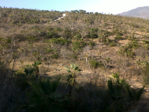Terreno Rústico En Venta 398 Hectáreas En Chilpancingo Guerrero