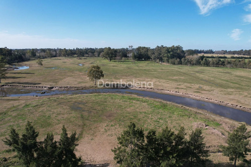 Imagen 14 de 26 de Terreno Fraccion En Venta Ubicado En Cañuelas, Resto De La Provincia, Buenos Aires