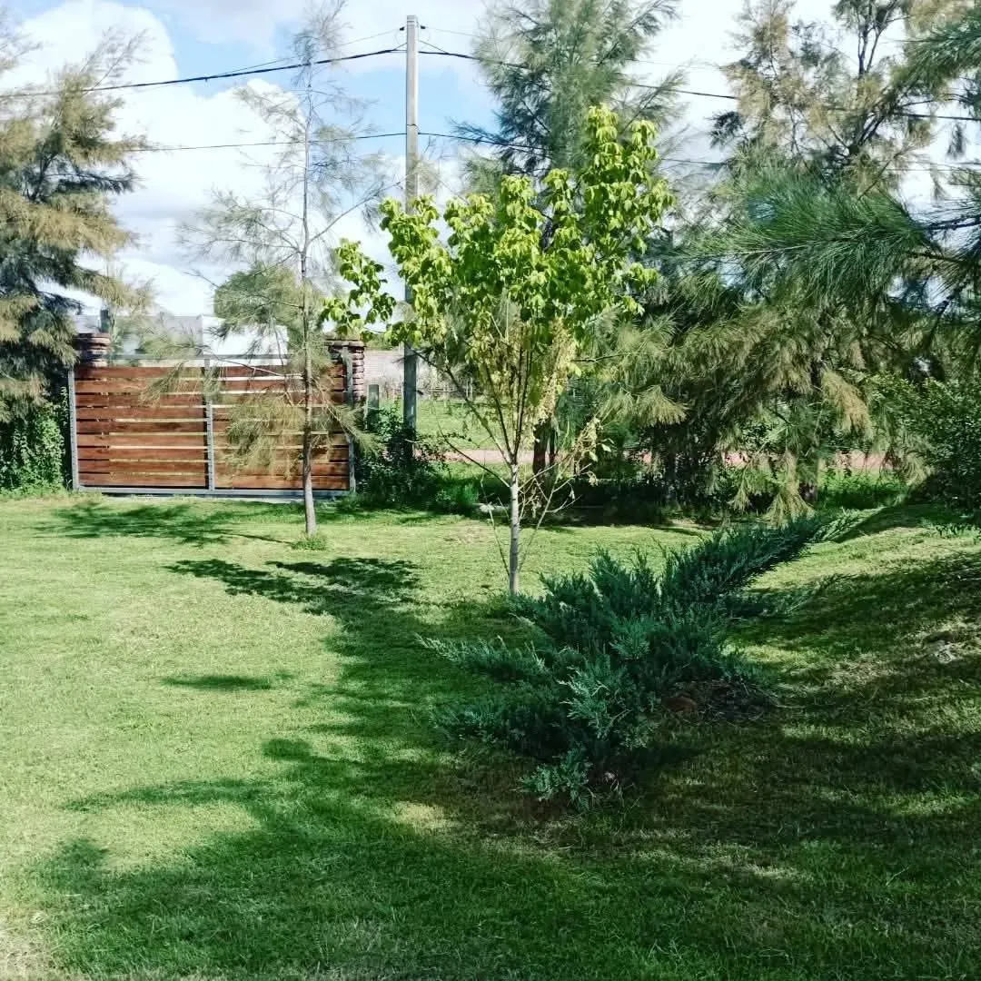 Casa En Esquina Barrio Tomás Gómez! Se Alquila Por Inmobiliaria · Foto 4
