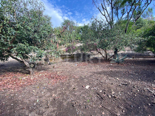 Terreno En Venta, Tlacotepec, Zacualpan De Amilpas, Morelos