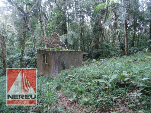 Imagem 3 de 4 de Terreno Residencial - 1301
