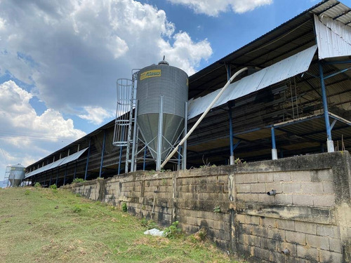 Imagen 19 de 30 de En Venta Granja Automatizada Y Finca De Ganado 142638 Andres Peña
