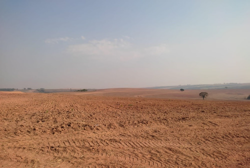 Imagem 6 de 14 de Vendo Fazenda Para Cultura Regiao De Araxa ( 6156 )
