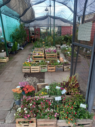 Comercio En Venta