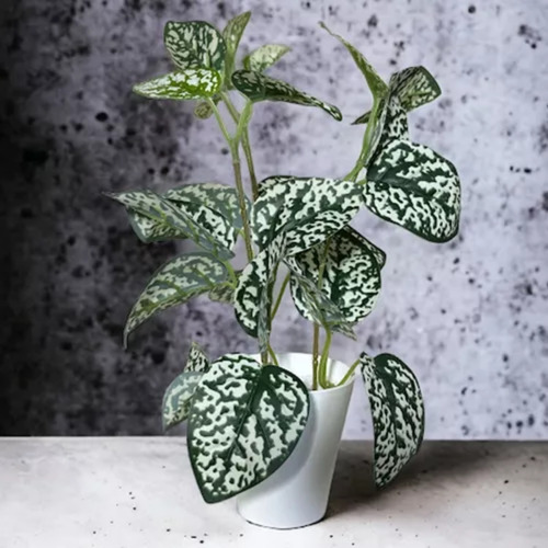 Planta Artificial De Escritorio Con Maceta Cónica + Piedras