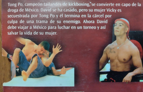 Kickboxer 4 El Agresor Dvd Sasha Mitchell Kamel Krifa (Usado)