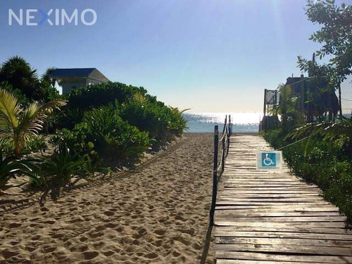 Imagen 1 de 7 de En Venta Terreno De Oportunidad En Playa Del Carmen