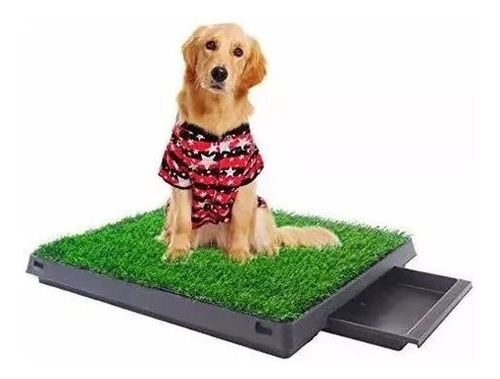 Imagen 2 de 3 de Baño Cesped Para Perro Portatil Ecológico Promocion