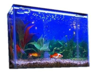 Kit De Acuario Completo 24 Lts