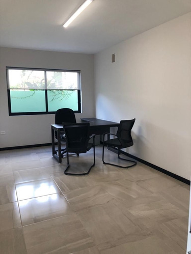 Imagen 9 de 12 de Oficinas En Renta En La Colonia Buenavista