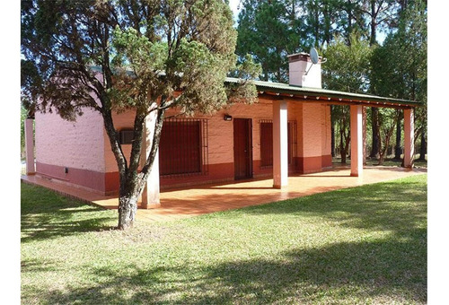 Imagen 6 de 7 de Forestación Eucaliptus En Concordia