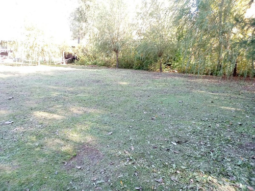 Imagen 6 de 12 de Terreno - Campana
