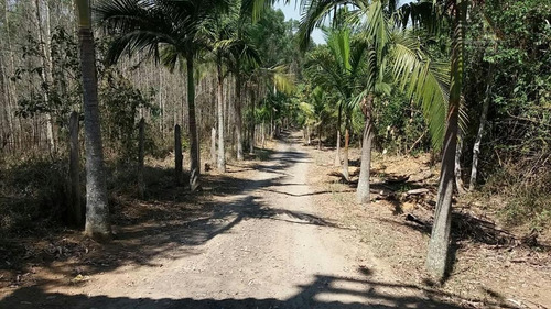Chácara Com 2 Dormitórios À Venda, 50000 M² Por R$ 380.000,00 - Monte Negro - Santa Isabel/sp - Ch0055