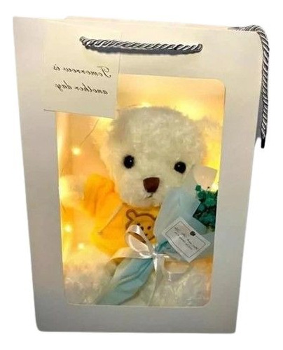 Oso De Peluche Con Luz Led, Pequeño Ramo Florecitas Y Bolsa