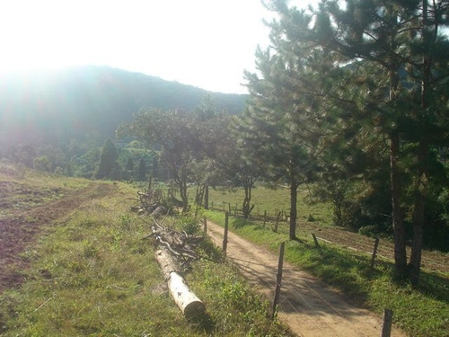 Imagem 10 de 15 de Sítio Em Ibiúna - 145.200m2 | 31497 - 31497