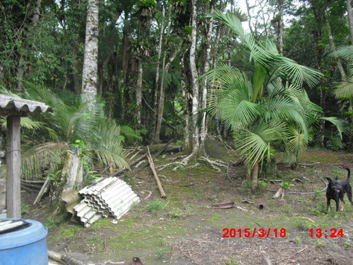 Imagem 11 de 15 de Chácara Na Estrada Dos Claudios Murundu | 38562 - 38562